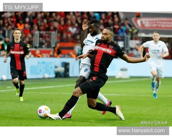 霍芬海姆与勒沃库森激战在即谁能在德甲赛场上笑到最后