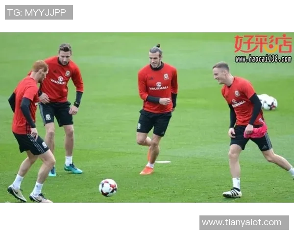 格鲁吉亚与威尔士比赛前瞻分析及胜负预测详解