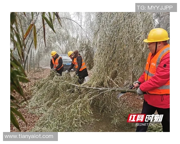 铁路工厂在飓风直播中如何应对极端天气挑战与安全保障措施探讨