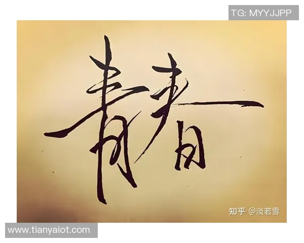 原帅：从青春梦想到职场拼搏的励志故事与人生启示