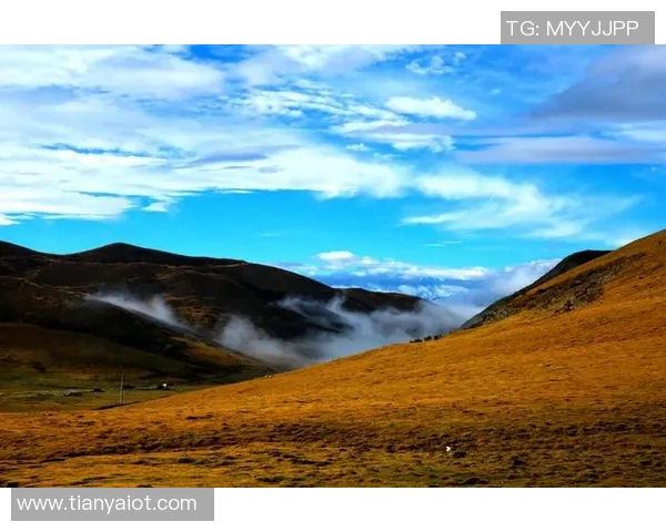 罗凯文的音乐旅程与人生哲学探索：从旋律到心灵的深度对话