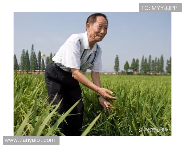 袁堂文的传奇人生与时代背景下的文化传承探索