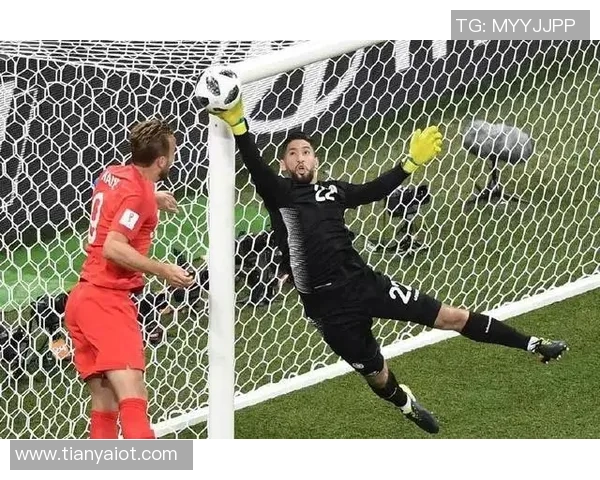 许钟豪的成长之路：从青涩少年到篮球场上的璀璨明星