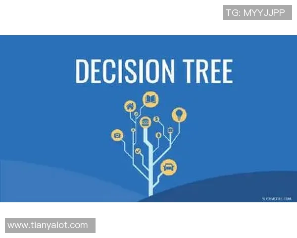 重庆飞盘队技术解析：从基础到进阶的全面探讨与实战应用