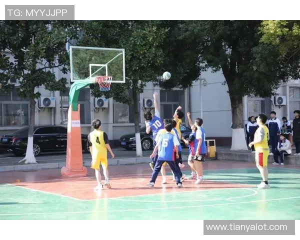 篮球明星亲临校园与学生互动分享篮球梦想与成长故事