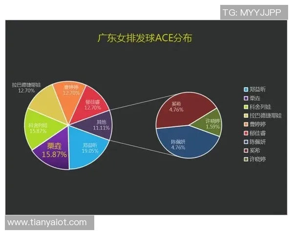北京排球队力量对比深度解析与未来发展趋势探讨