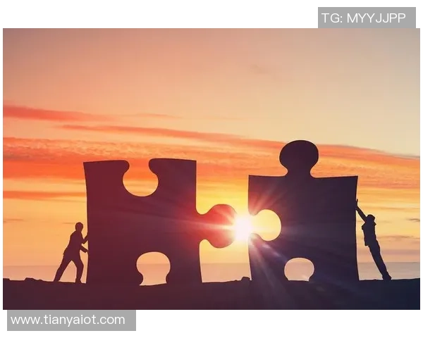 专访陈敏：深入探讨排球运动背后的成功秘诀与奋斗历程